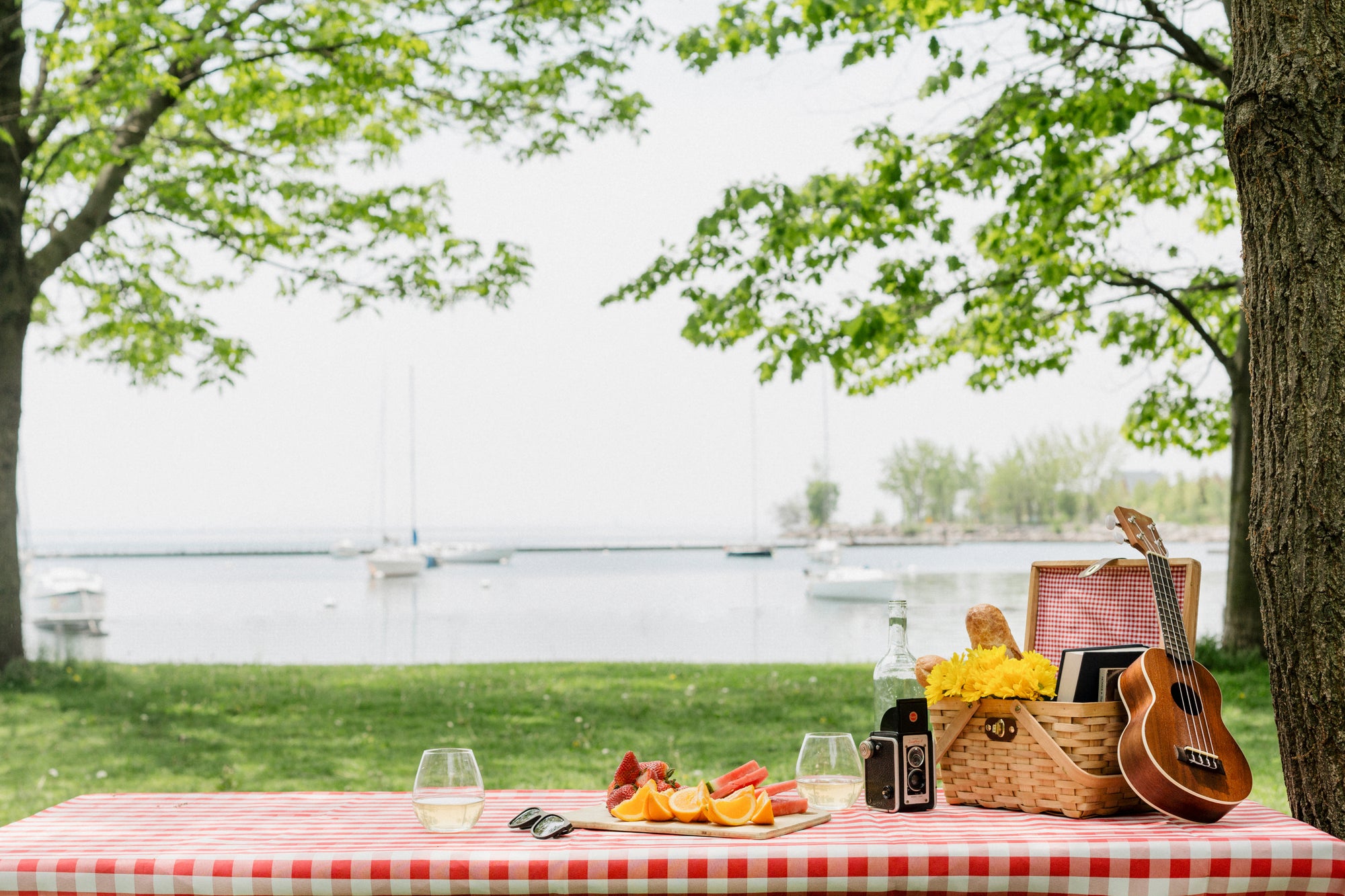 Picnics