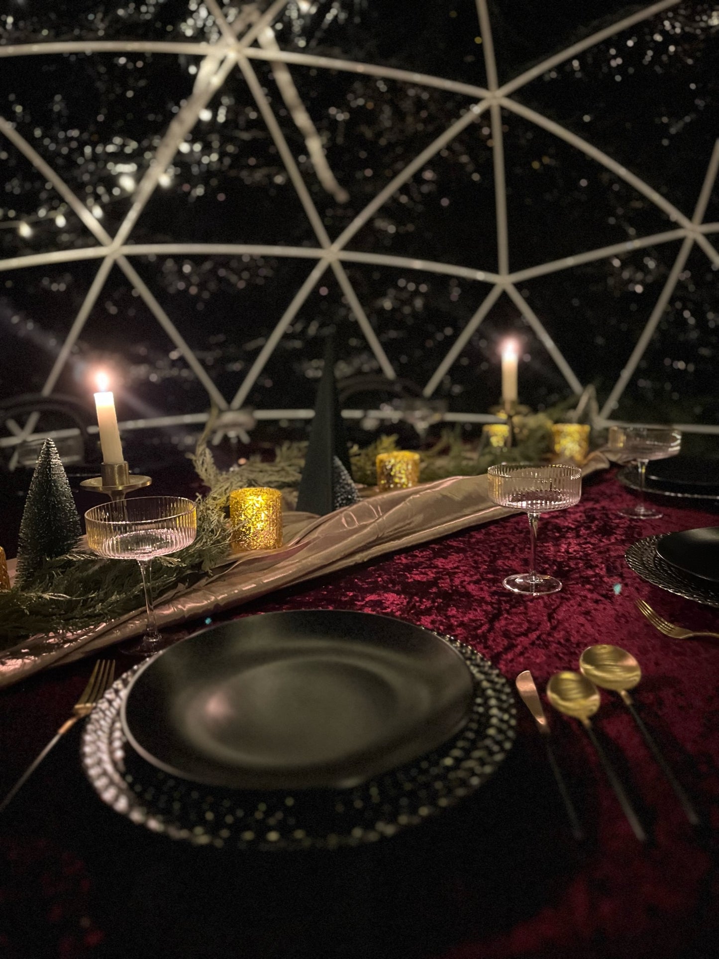 Igloo Bundle - Outdoor Winter Dinner Party Rental Rental