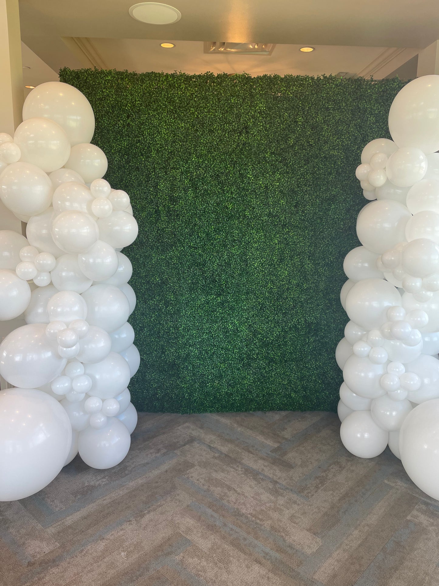 Boxwood Hedge Wall Rental