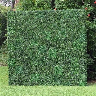 Boxwood Hedge Wall Rental