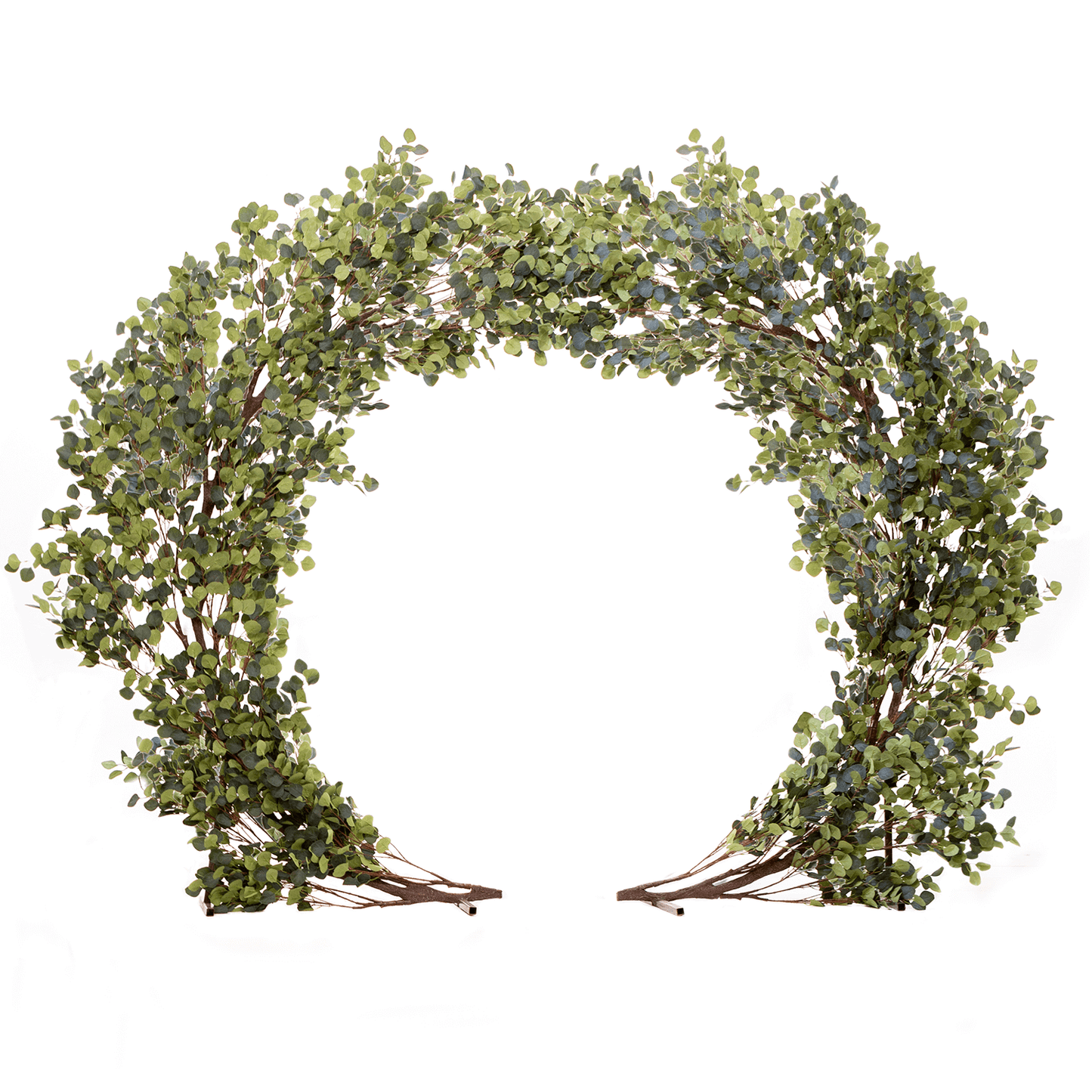 Eucalyptus Arch - 8 FT Rental
